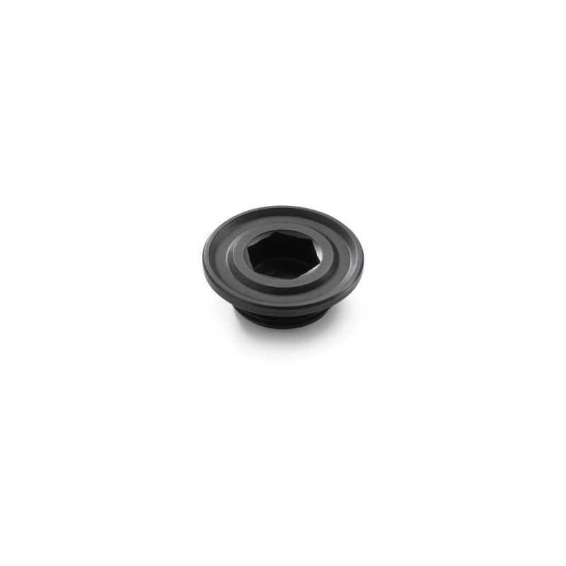 KTM Ignition Cover Plug