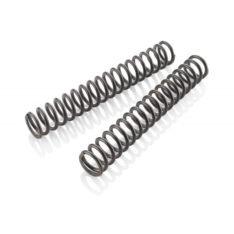 WP Fork Spring Set