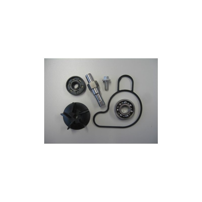 KTM Water Pump Repair Kit