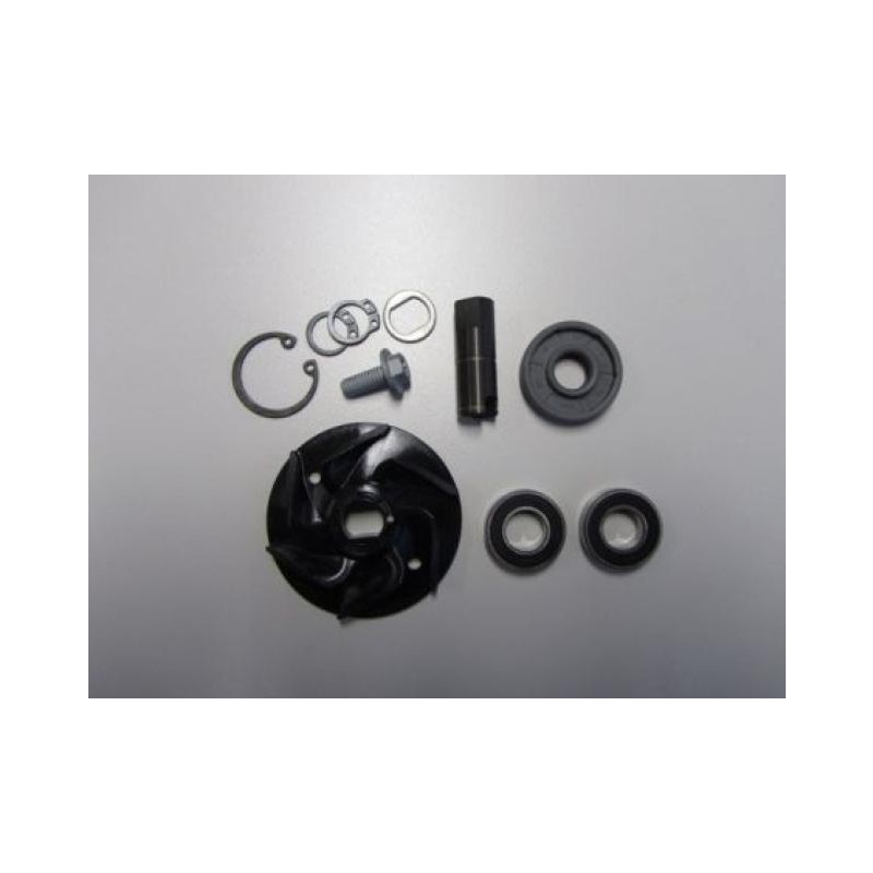 KTM Water Pump Repair Kit
